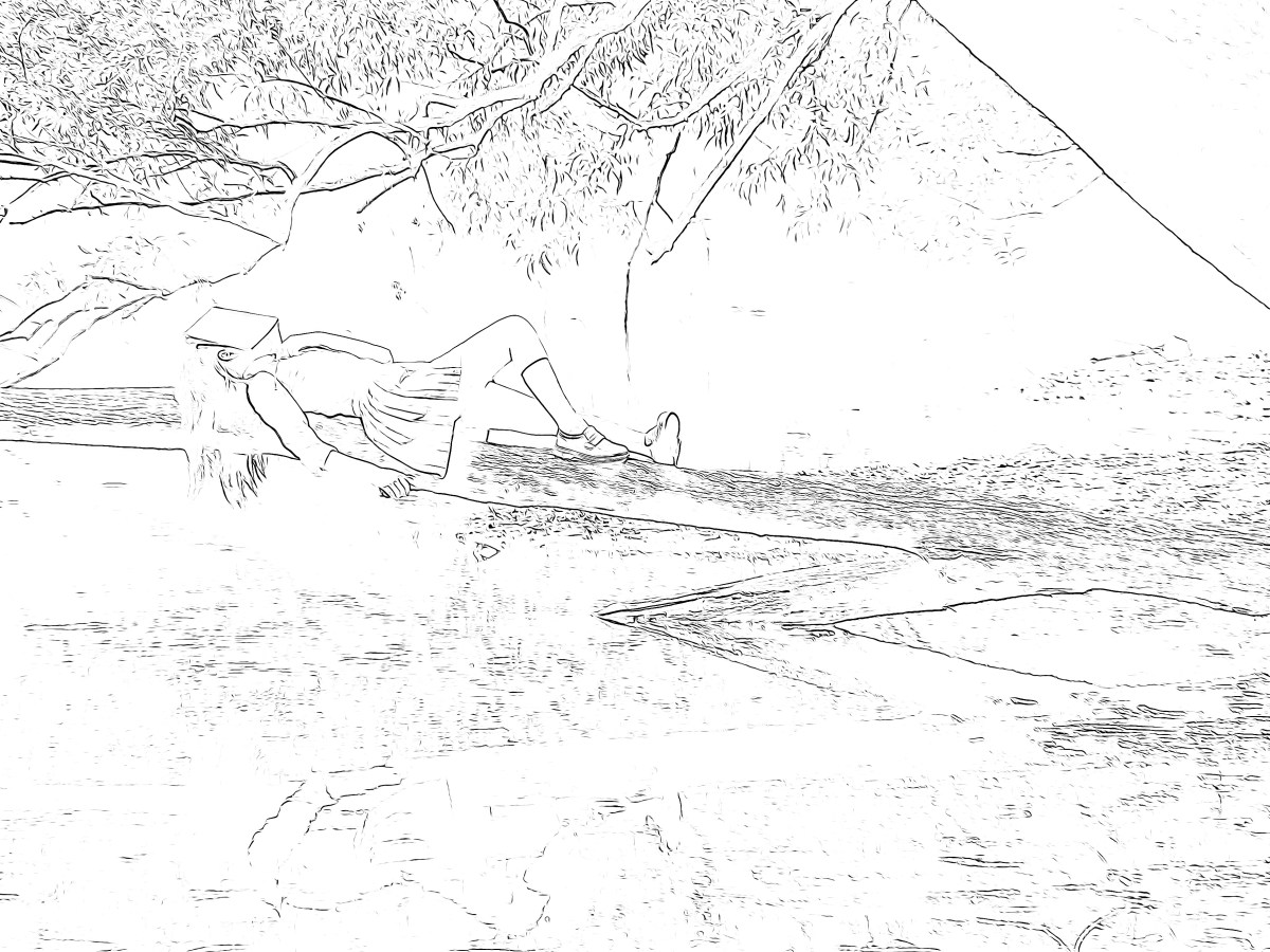 Storyline & Narrative&nbsp;Causality