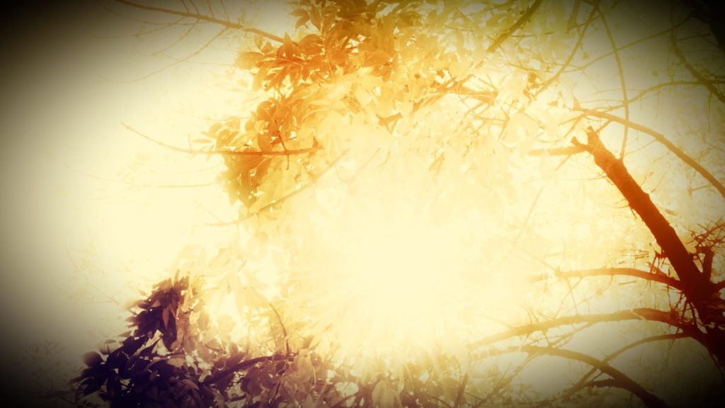 Among the Trees – try out: narrative based on story&nbsp;elements